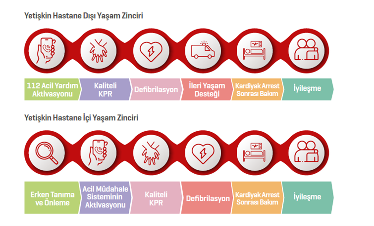 Yetişkin Hastane Dışı ve İçi Yaşam Zinciri
